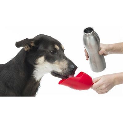 Kong H2O Trinkflasche Edelstahl Orange