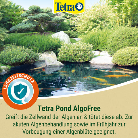 Tetra Pond AlgoFree 3L