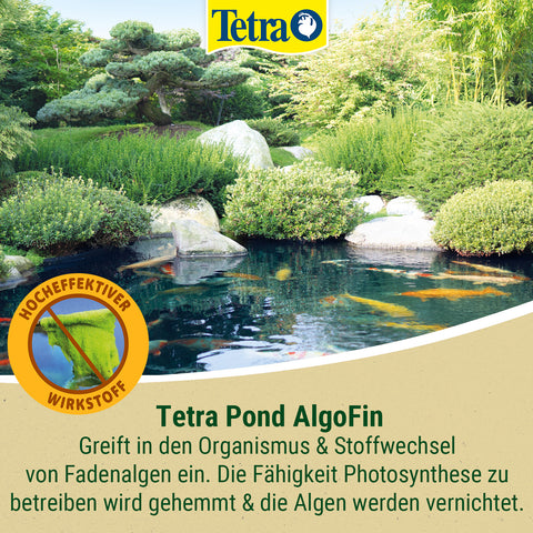 Tetra Pond AlgoFin 3L