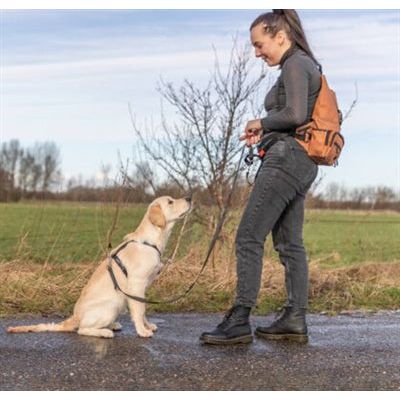 Trixie Rolltop-Rucksack Mit Gürtel-Gürteltasche Rost