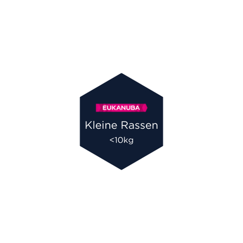 Adult Huhn kleine Rassen